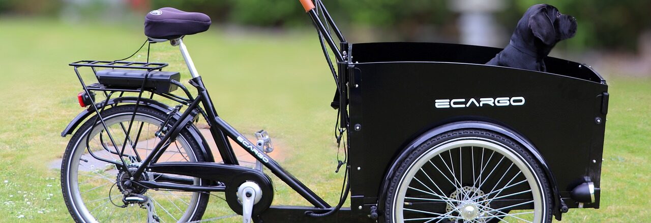 Een elektrische bakfiets voor het gezin